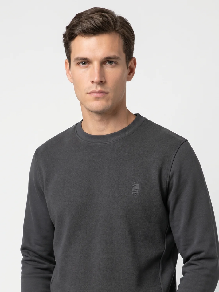 Pullover grigio Alfa Romeo classic con logo in rilievo-1